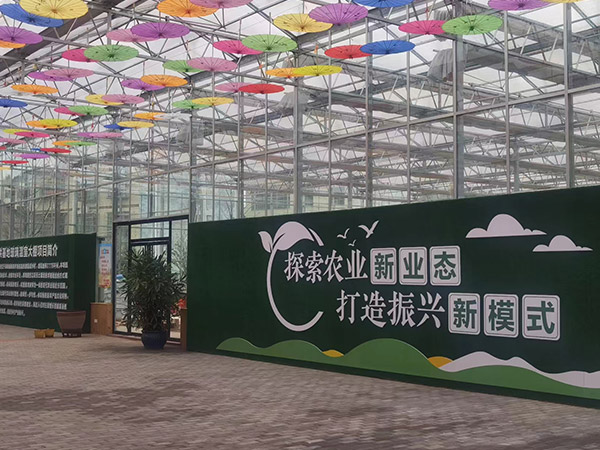 通化新農(nóng)業(yè)智能大棚建設(shè)